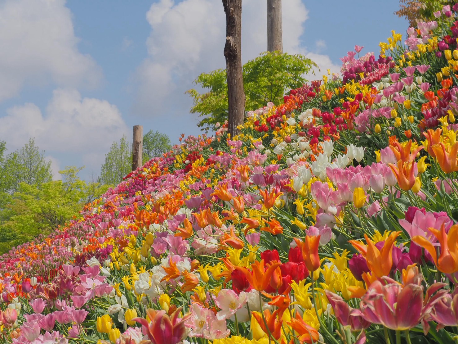 メインイメージ1