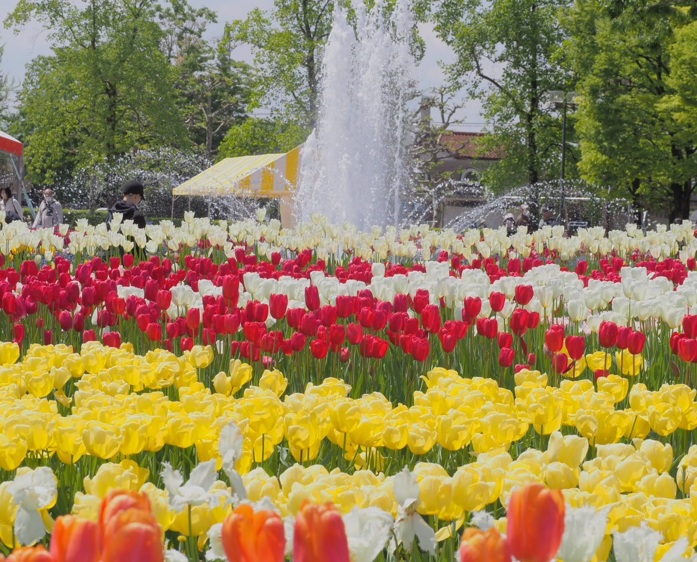 メインイメージ2