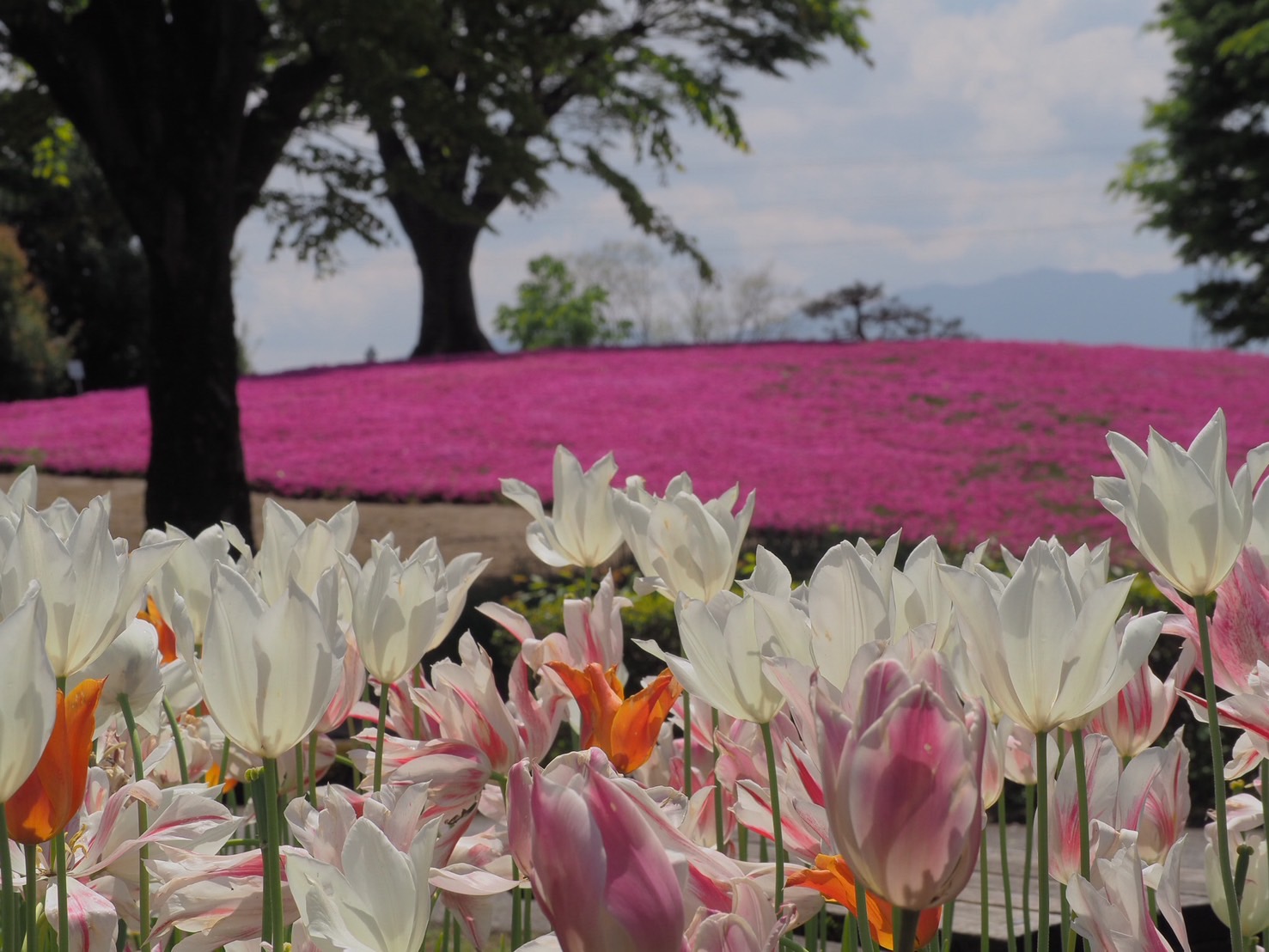 ニュースイメージ1