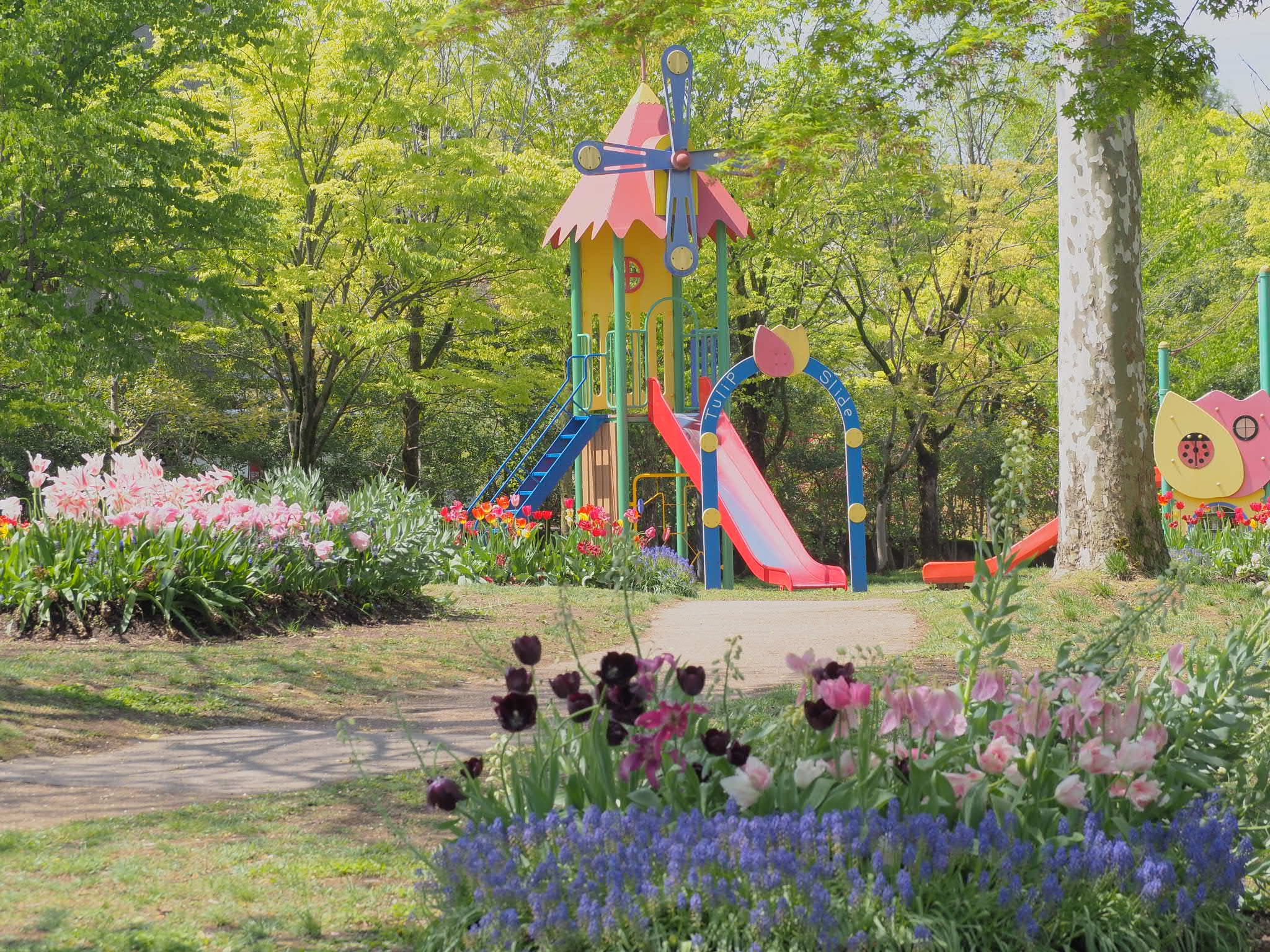 ニュースイメージ3