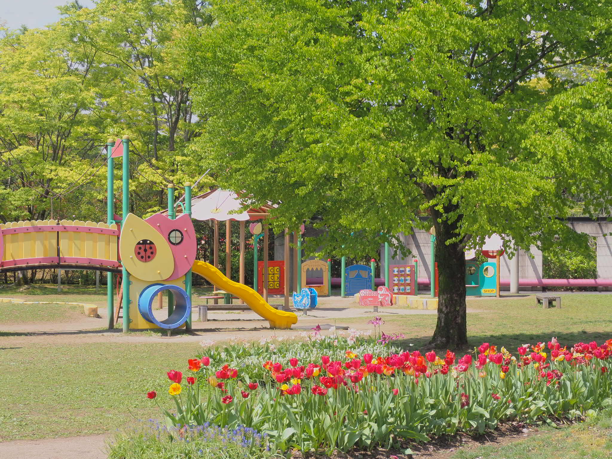 ニュースイメージ5